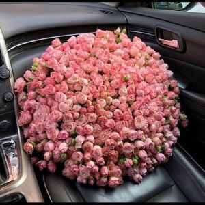 Meet your Posher, Dionne